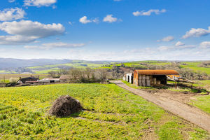 Photo 9- click for photo gallery